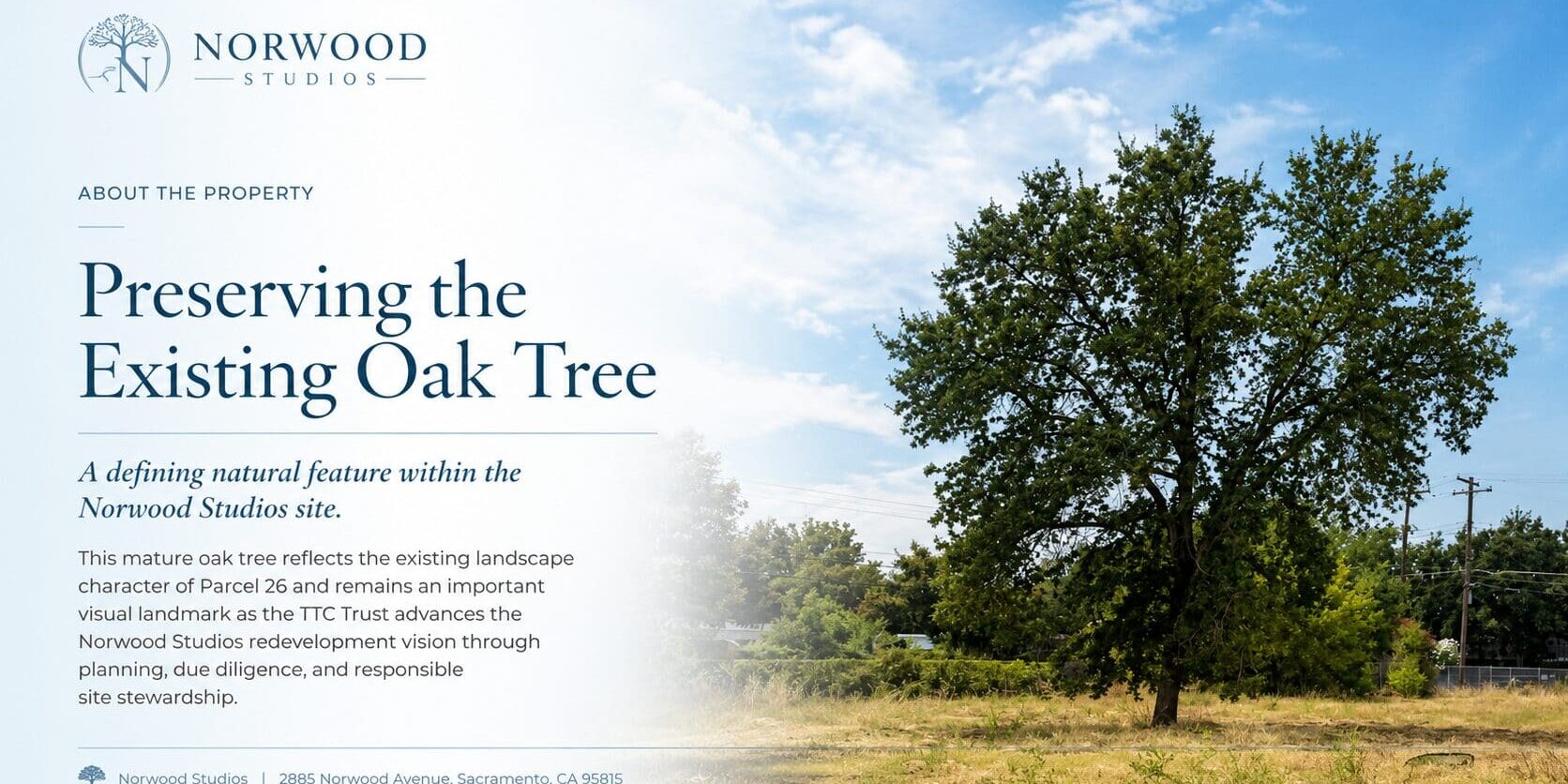 This existing oak tree contributes to the landscape character of Parcel 26 and serves as a recognizable visual landmark within the approximately 3.529-acre site.

As planning and due diligence continue, the TTC Trust intends to evaluate opportunities to preserve and thoughtfully incorporate the tree into the future site design, subject to arborist review, engineering, safety considerations, and applicable City of Sacramento requirements.